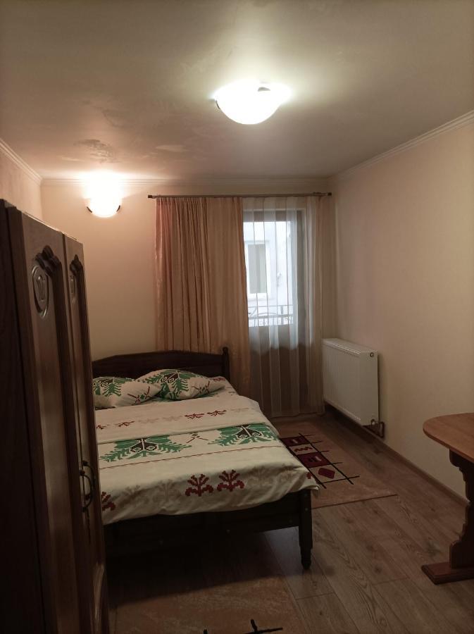 Vila Alpina Olanesti Apartamento Băile Olăneşti Exterior foto